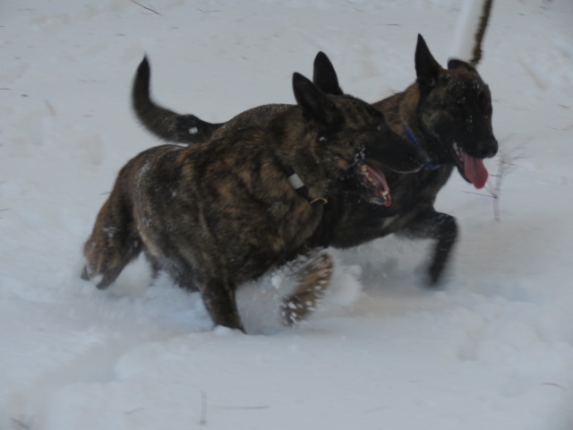 IMG_4078.JPG