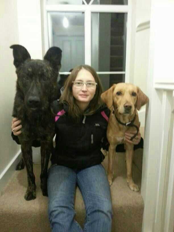 Oscar, Lexi and Lucy