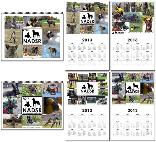 2013 NADSR Calendars