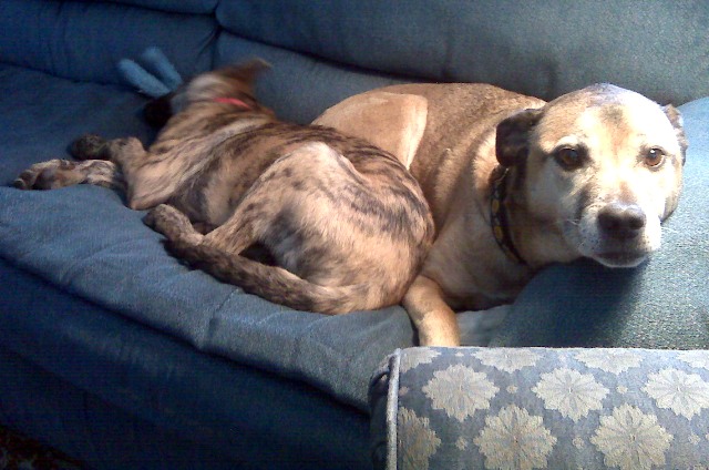 Mooooooommmmmm, he's TOUCHING me!  Make him stay on HIS side..."