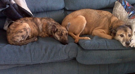 Before she grumped at him for getting too close.