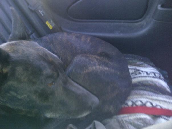 "After" on the way home