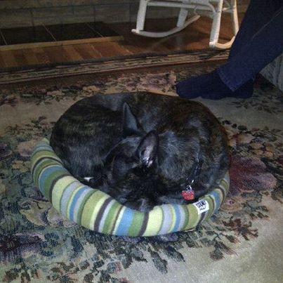 I fit!