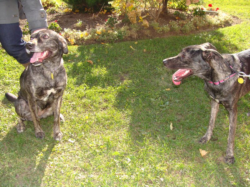 Hanna on the right - Mum on the left
