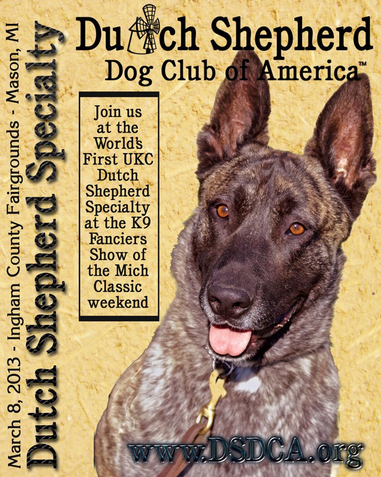 Dutch Shepherd Specialty.jpg