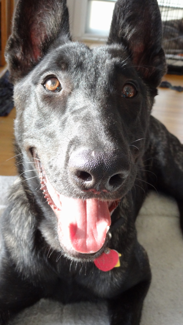 Xan's happy curious close-up [2].JPG