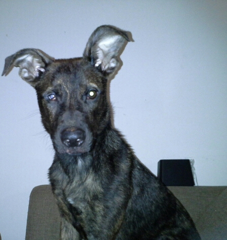 20130125_073221-1.jpg