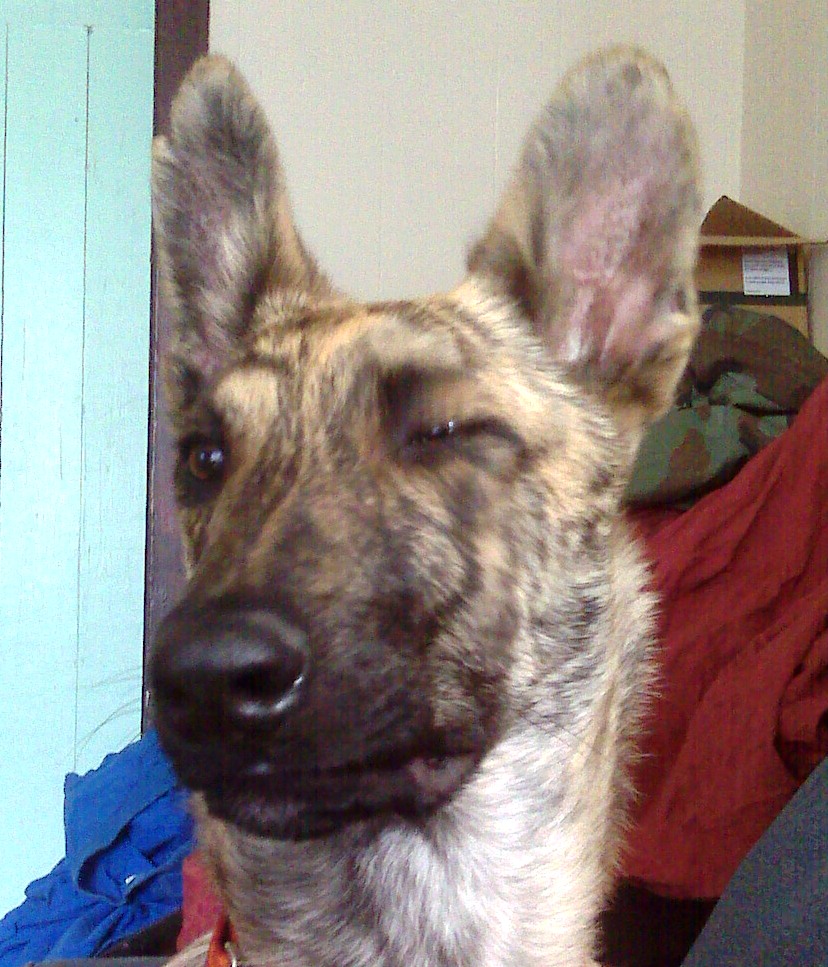 winking for the camera