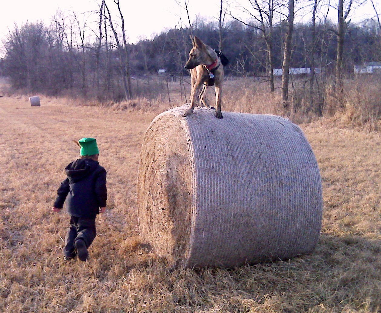IMG02054.jpg