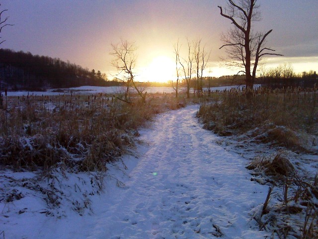 gorgeous winter backdrop