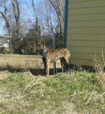 Is that a rabbit, I see!!!!
