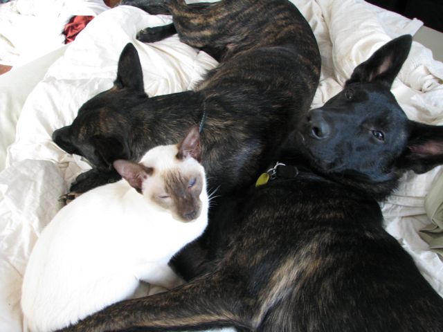 What? Mom! We were sleeping!