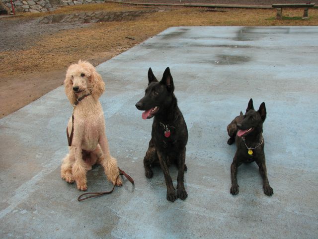 Hanging out with Big brother, Apollo (12 yrs)