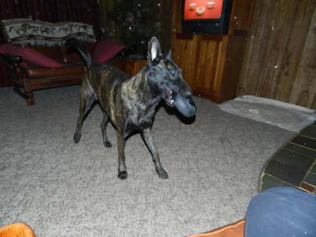 DSCN0379.JPG