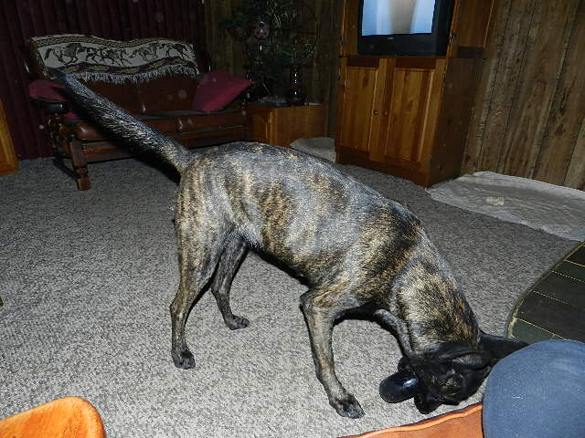 DSCN0381.JPG