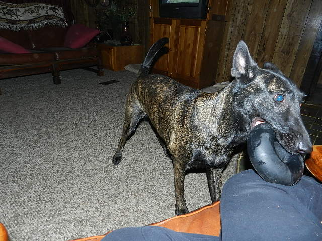 DSCN0382.JPG