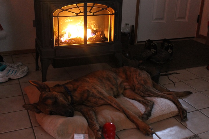 This is Cal laying claim to the best spot in the house