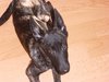 Dolly 2.JPG