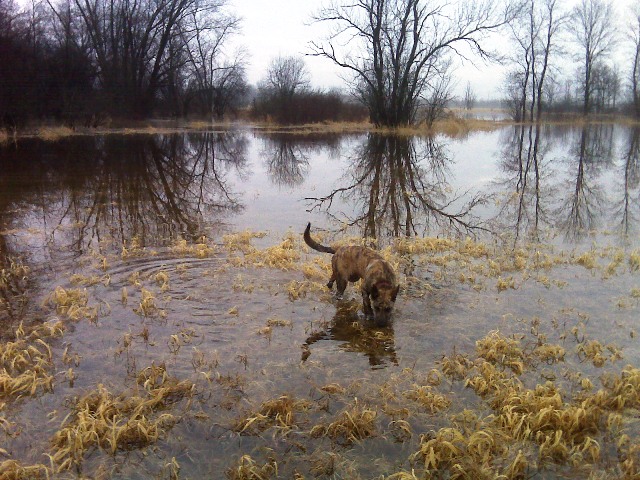 Wow, where'd all this water come from?