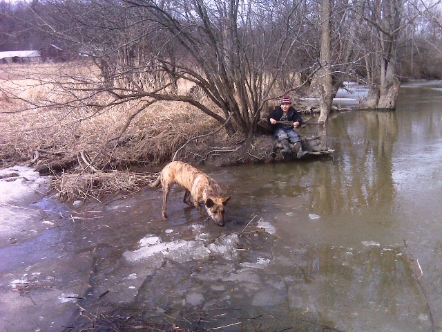 bobbing for ice-chunks