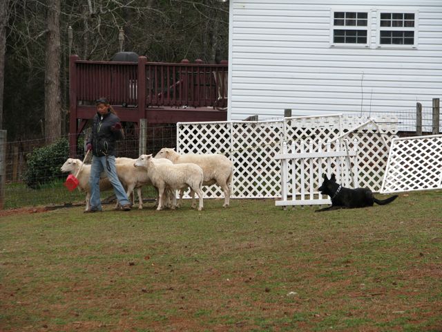 And only one of Thor before the camera quit!