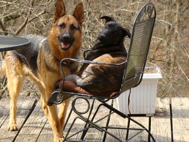 Grace and her best friend Jake.