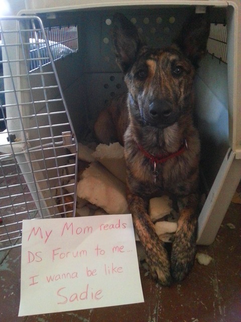 The culprit...