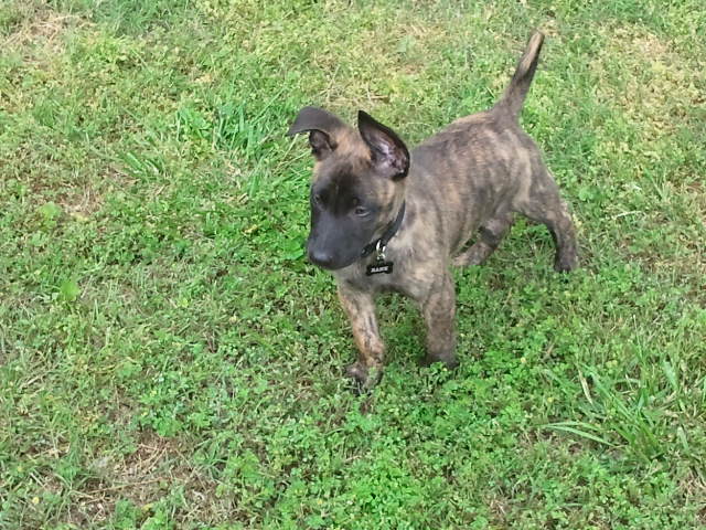 2nd day home, 8 weeks old