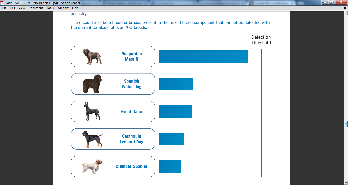 Mixed Breed Analysis