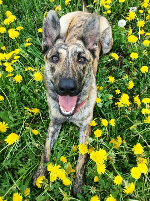20130511_103917.jpg