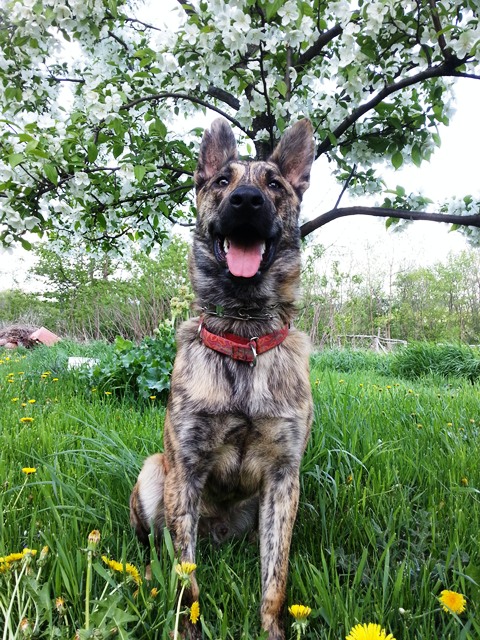 20130512_173201_4.jpg