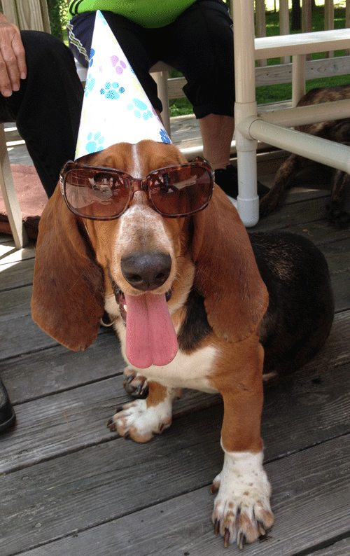 Wooohooo, Has the party started yet?