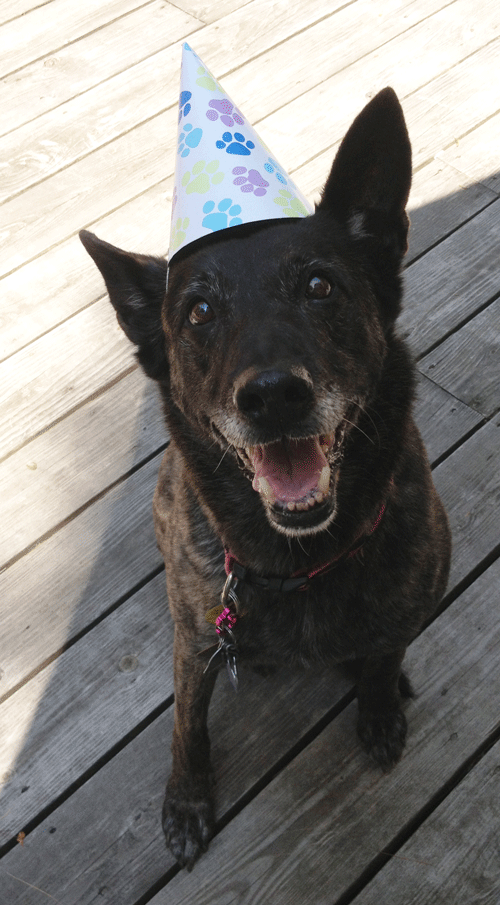 Its my birfday today !!!!!