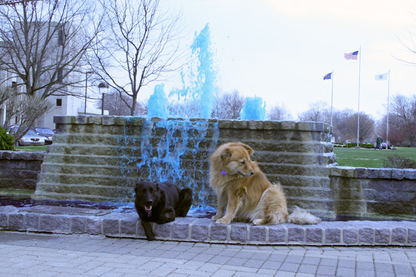 BU_final_four_2011.jpg