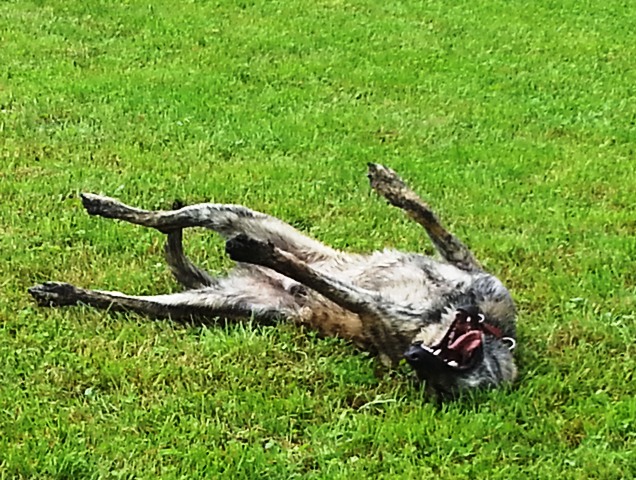 20130602_154547_10.jpg