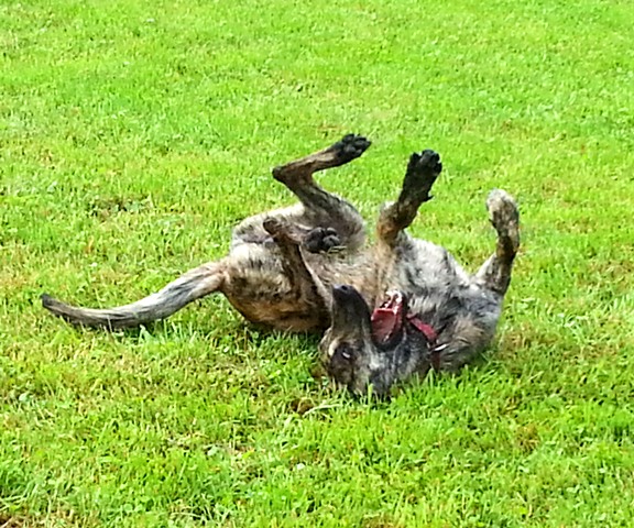 20130602_154547_12.jpg