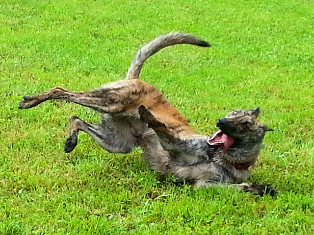 20130602_154547_14.jpg
