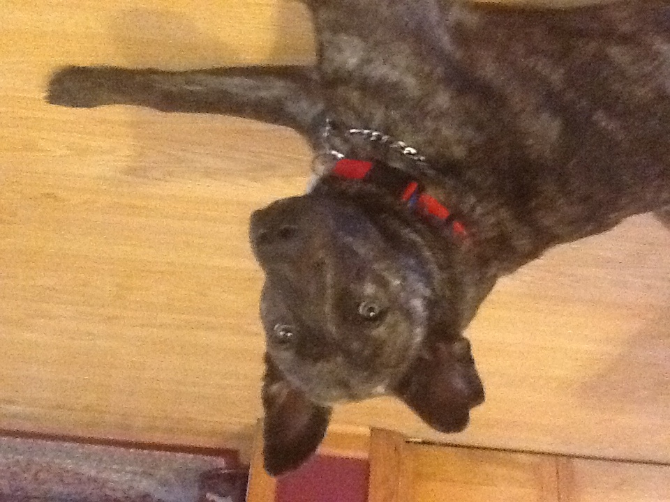 Sneaky Pete at his best....
