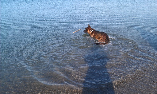 Dutch Loves water almost as much as we do