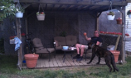 Dutch enjoying is backyard
