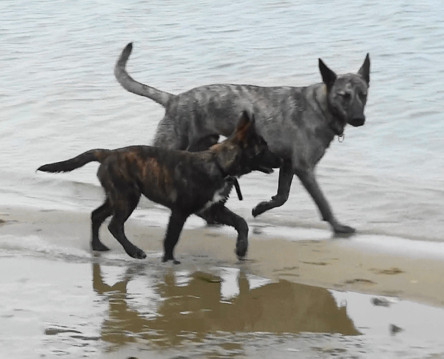 TxXan ans Saki strolling on beach.JPG