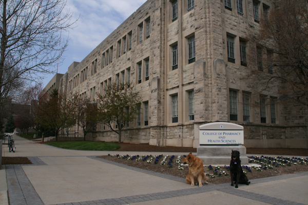 BU_final_four_2011_BUCOP-2.jpg