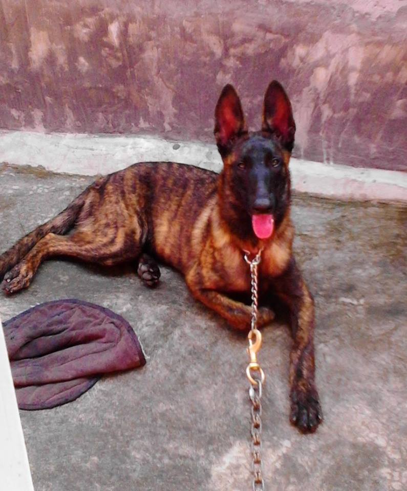 5mos.Igor.jpg