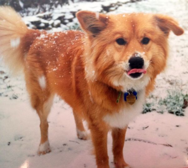 Still miss that little cutie!
