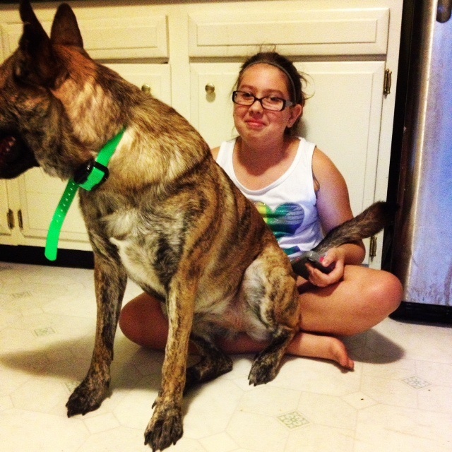 Stella sitting on my stepdaughter :)