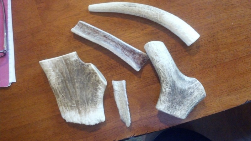 1-antlers.jpg