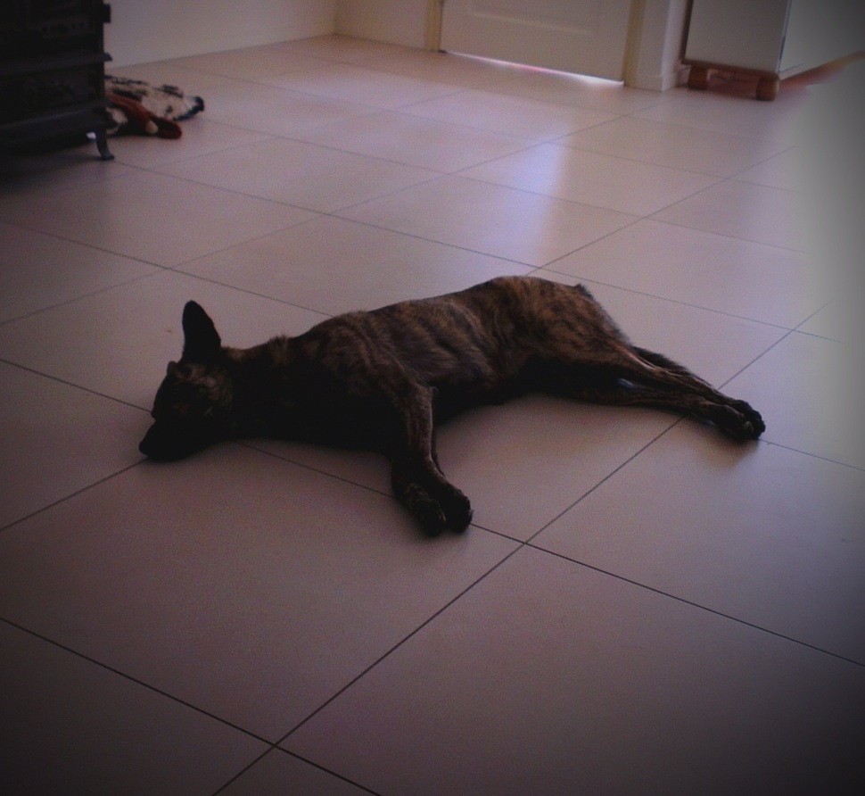 Afterwards she likes to be left alone...