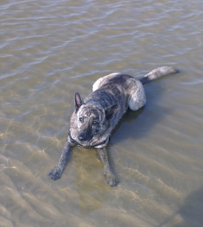 Josje cooling down in the North Sea