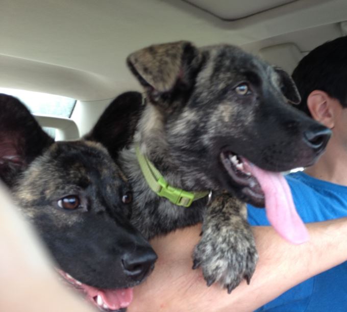 road trip.jpg