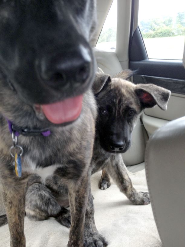 are we there yet.jpg